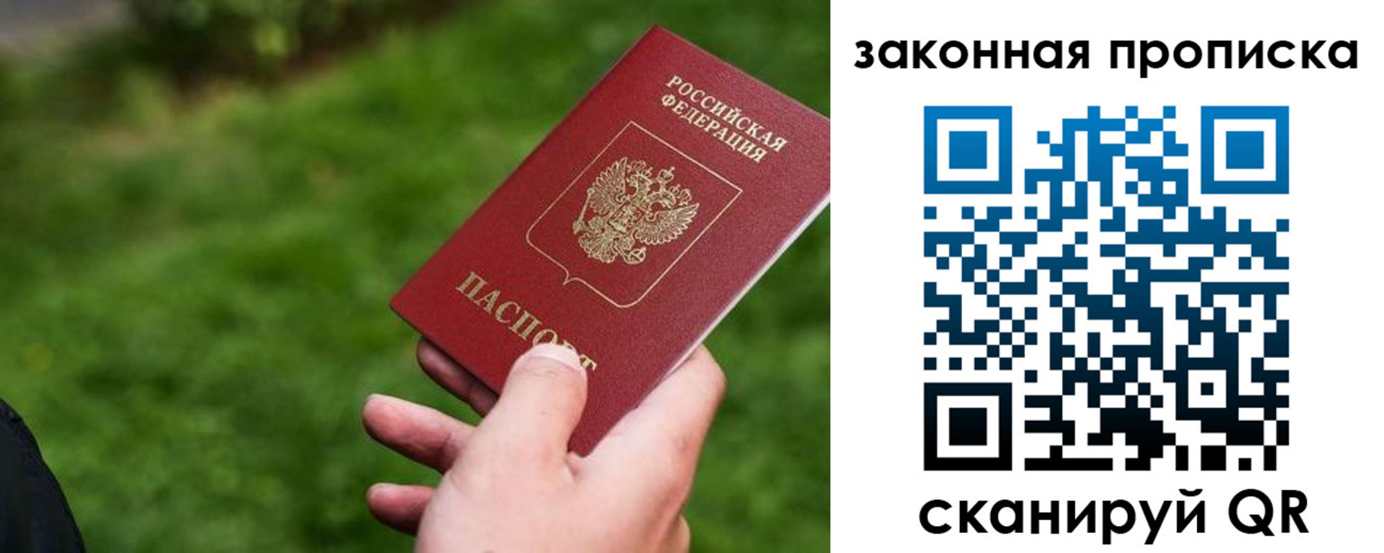 прописка 2025 в Кургане